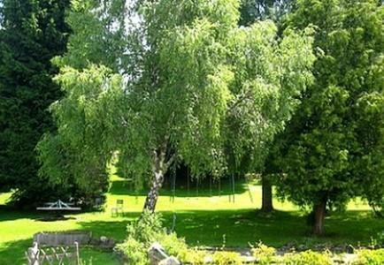 Hotel La Clairiere Chambon-sur-Dolore Ngoại thất bức ảnh
